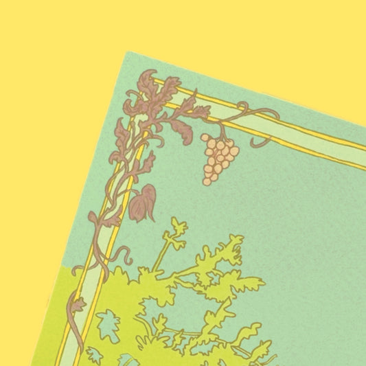 Niveau 0 - Lot de cartes postales "Oisillons"
